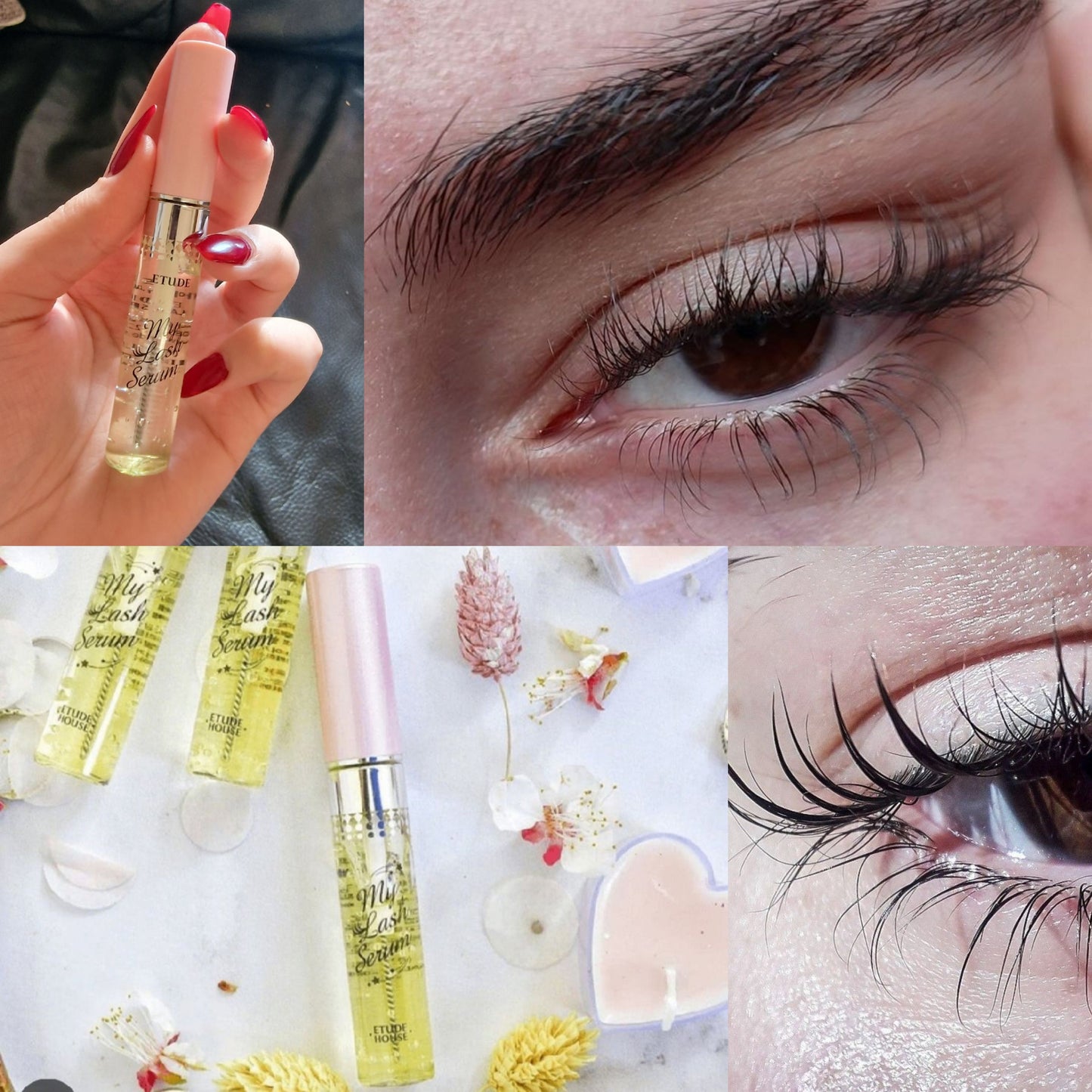 Etude my lash serum