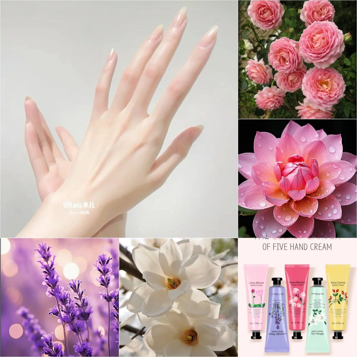 Mediflower Hand cream